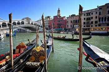 Cruise Ships Pose a Dire Threat to Fragile Venice Architecture, New Letter States - Observer