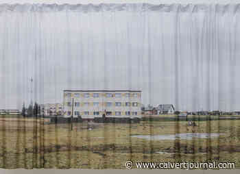 Polish creatives are reclaiming the countryside at the Venice Biennale of Architecture - The Calvert Journal