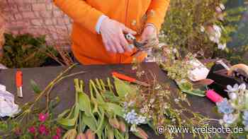 Gewerkschaft kritisiert Niedriglöhne in der Floristik und fordert bessere Entlohnung - Kreisbote