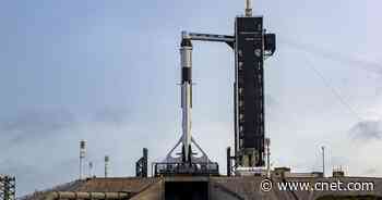 See SpaceX launch squid, tardigrades, solar panels to ISS for NASA     - CNET