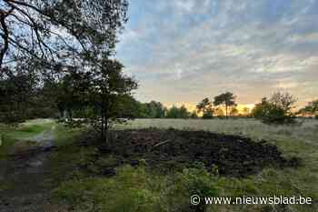 Tweede brand op Kalmthoutse Heide in amper week tijd: oorzaak wordt nog onderzocht