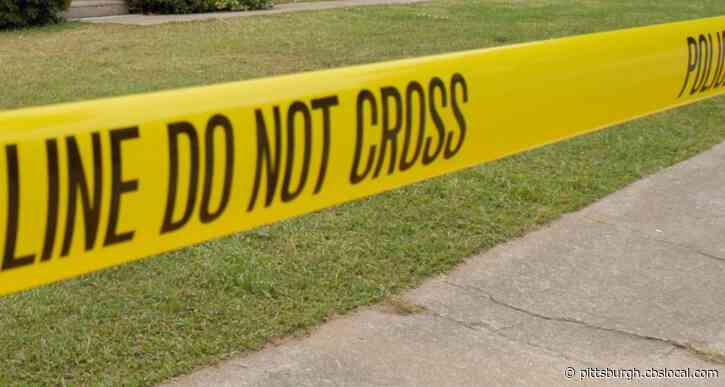 State Rep. Dan Frankel Proposes Changes At State Level To Curb Gun Violence