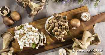 Do medicinal mushrooms really work? What you need to know about lion's mane, reishi and more     - CNET