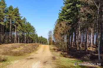 Wandelclub Milieu 2000 organiseert tiende coronawandeling - Het Belang van Limburg
