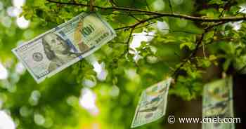 Third stimulus check update: Track the status of your IRS money, plus-up payments, more     - CNET