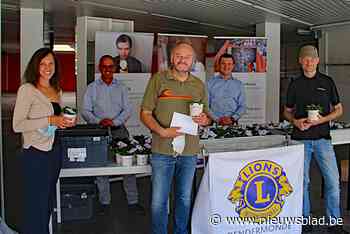 Lions Club zet vrijwilligers in de bloemetjes (Dendermonde) - Het Nieuwsblad