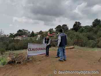 Clausura PROPAEM lotificación por falta de permisos ambientales en Cuernavaca - David Monroy Digital