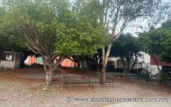 Realizan poda en árboles del parque Zodiaco - El Sol de Cuernavaca