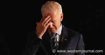 Obama Legacy Casts Doubt on Biden's Promise Not to Spy on Journalists