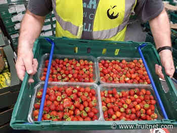 BerryWorld highlights food waste efforts - Fruitnet