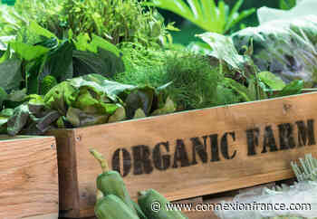 Organic food in France not always 'better quality' study finds - The Connexion