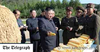 Why North Korea is facing a major food shortage that could lead to the death of millions - Telegraph.co.uk