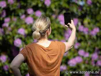 Soziale Medien und Fotofilter: Verstärken Selfies und Videokonferenzen den Schönheitswahn? - Mode - Allgemeine Zeitung