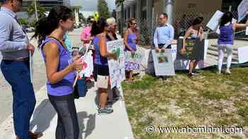 Family, Friends of Slain Boy Rally for Changes to Legal System Around Domestic Violence