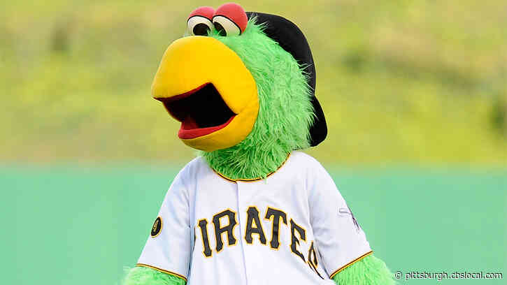 Survey: Pirate Parrot Named Among Most Popular MLB Mascots