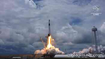 SpaceX Launches Tiny Sea Creatures, Experimental Toothpaste, Solar Panels to ISS