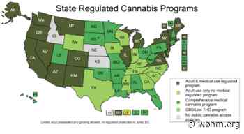 Five Things You Need To Know About Alabama’s New Medical Marijuana Law - WBHM