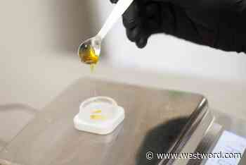 Senate Passes Bill Proposing Medical Marijuana Restrictions, THC Potency Study - Westword