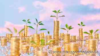 Nachhaltigkeit: Wie Milliardärserben die Welt verbessern wollen