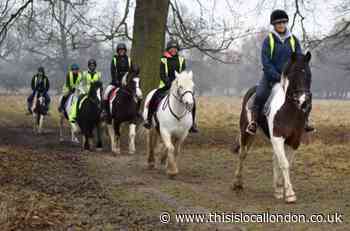 Park Lane Stables' landlord urged to sell site to charity