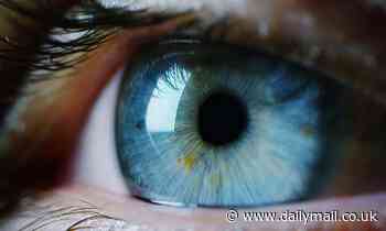 It's in your eyes! People with large pupils are more INTELLIGENT, study finds 