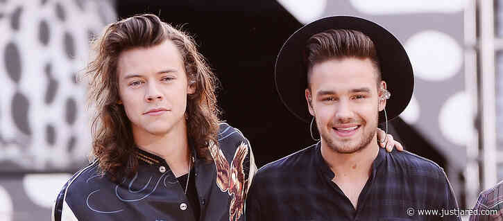 Liam Payne Details Recent 'Lovely' Phone Call with Harry Styles