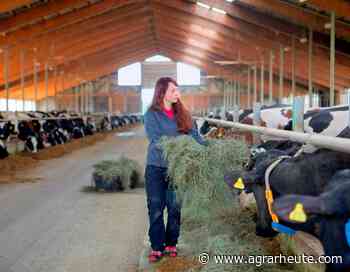 Management nah am Tier ausrichten | agrarheute.com - agrarheute.com