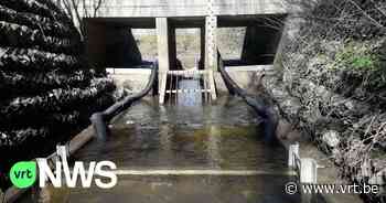 Nieuwe val moet krabben terug naar Schelde sturen in Merelbeke: "Er zijn ruim 4.500 krabben in 2 dagen gepasseerd" - VRT NWS