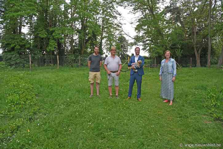 Park ’t Kruis heeft nu ook hondenlosloopweide<BR />