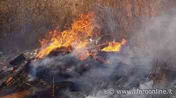 Giornata "di fuoco" ad Ardea, in fiamme immondizia e sterpaglie: 4 incendi in poche ore - Il Faro online