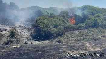Ardea, incendio sul Lungomare dei Troiani: a fuoco la macchia mediterranea - Il Faro online