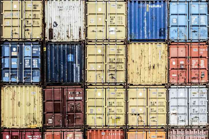 Zes vermeende uithalers uit container in Waaslandhaven gehaald