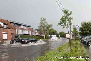 Brandweer heeft handen vol met overlast door onweer