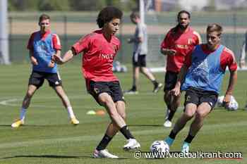 Roberto Martinez ziet ervaren rotten terugkeren en gelooft in Witsel-mirakel: &quot;Als Axel daarin slaagt, gaat hij mee&quot;