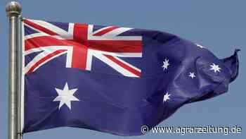 Analysten: Australien vor großer Weizenernte - agrarzeitung online