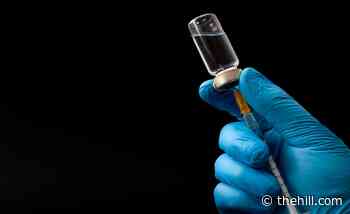 House Democrats call on Biden to do 'much more' to vaccinate the world