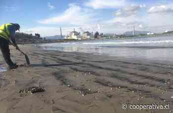 Corte de Apelaciones ordena suspender ingreso de naves con carbón a la bahía de Quintero