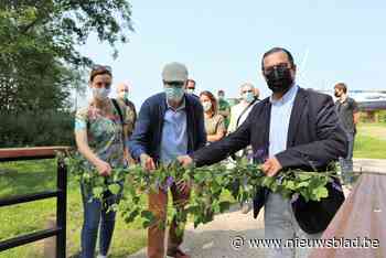 Bevers en otters hebben hun thuis in Broek De Naeyer