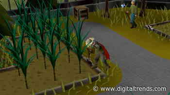 Old School RuneScape beginner’s guide