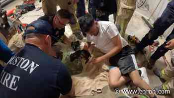 Dramatic video shows puppy being rescued from drain pipe in west Houston