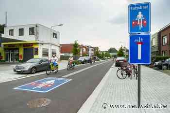 Victor Heylenlei is beste fietsstraat van Antwerpen