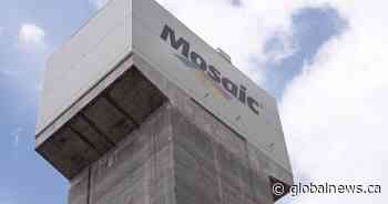 Mosaic immediately closing Esterhazy K1, K2 potash mine shafts