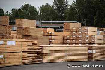 No early heads-up from U.S. about plan to propose higher softwood duties, Ng says