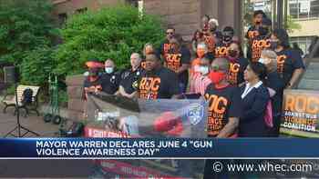 Warren declares June 4 'Gun Violence Awareness Day'
