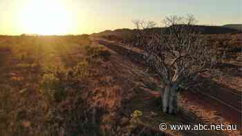 It's always darkest before the dawn on the road of COVID recovery