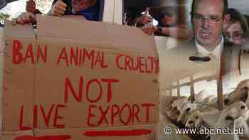 Government's 'unlawful' live export ban could cost around $800m, as more cattle producers rally for class action