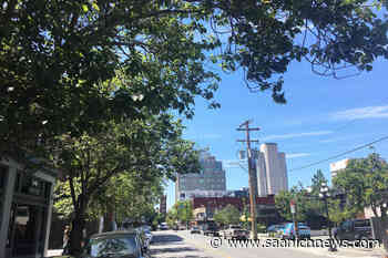 Victoria's urban forest grew by the equivalent of 60 soccer fields in six years – Saanich News - Saanich News