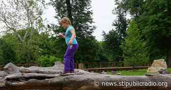 Forest Park's New Nature Playscape Beckons The Curious - St. Louis Public Radio