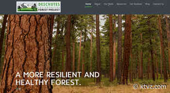 Senators secure $300K for more Deschutes Collaborative Forest Project work - KTVZ