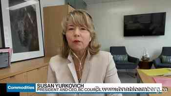 There's a desire to have additional players in the forest industry: Susan Yurkovich - BNN